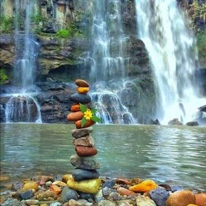 Meet your Posher, Damaris